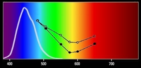 spectral_response_of_the_S_cone.jpg spectral_response_of_the_S_cone.jpg