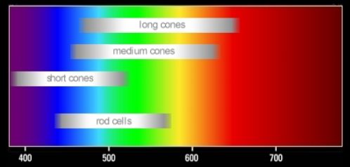 three_types_of_cones.jpg three_types_of_cones.jpg